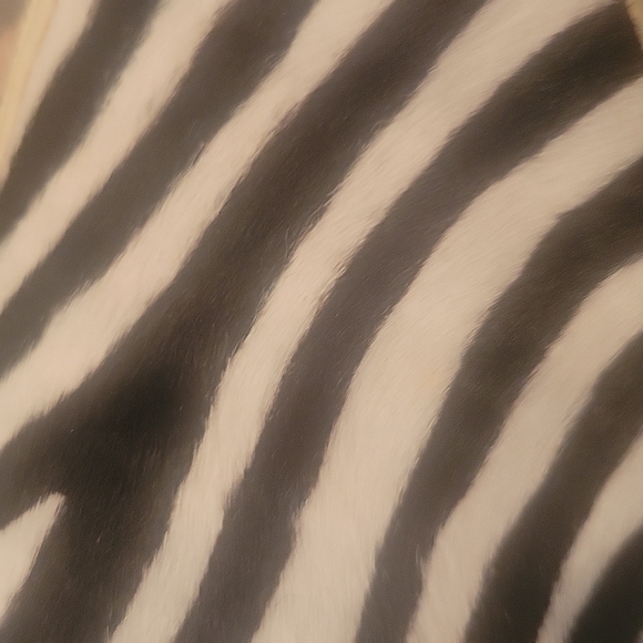 SAINT LAURENT mens pony hair slip on shoes - Picture 5 of 7